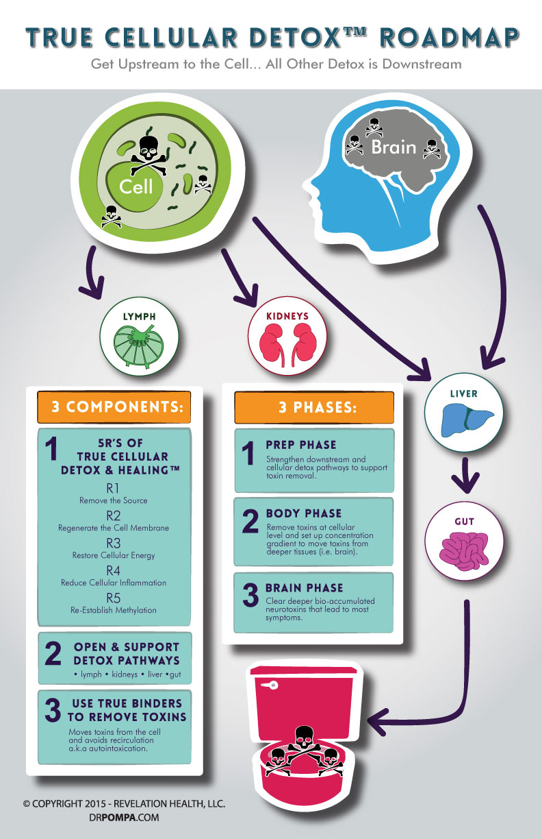 infograph